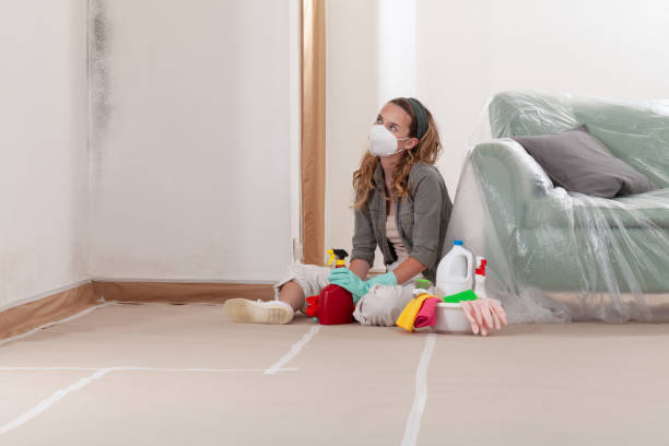 Reliable Mold Remediation contractor in Comstock Park, MI by Cheap Mold Removal
